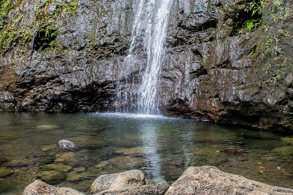 Honolulu Beautiful Places: Manoa Falls