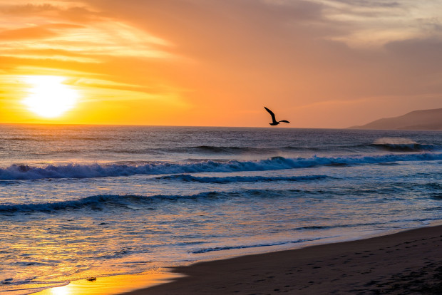 10 Places You Must Near Los Angeles: Zuma Beach