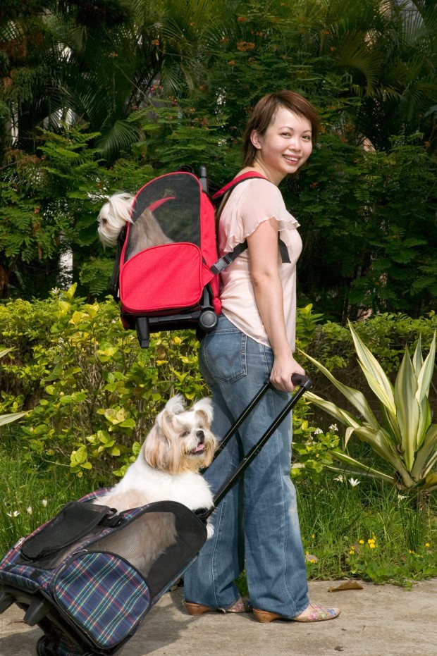 girl with dog carrier