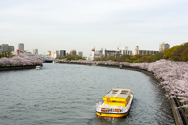 What To Know Visiting Osaka: Sakuranomiya Park