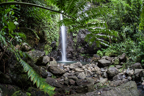 Photo Guide to Visiting Tahiti: Raiatea Waterfall
