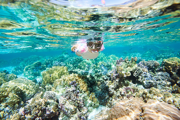 Photo Guide to Visiting Tahiti: Snorkeling