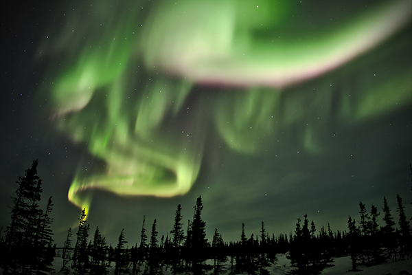 Canada Winter Travel: Northern Lights