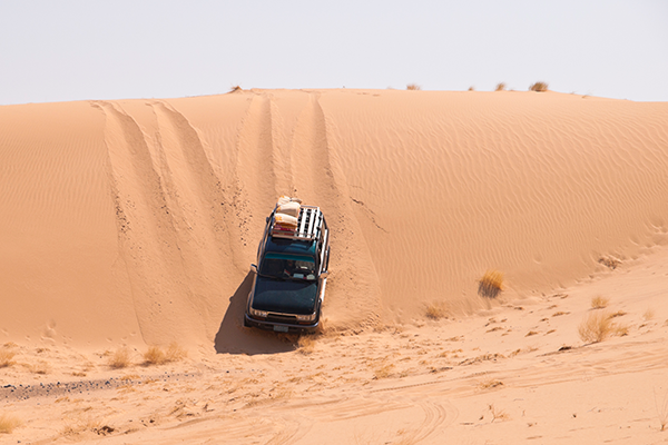 Hidden Gem in Riyadh: ATV Dune Driving