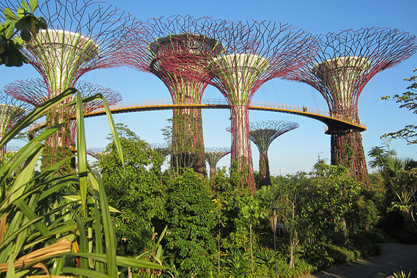 Singapore Places to Visit: Gardens By The Bay