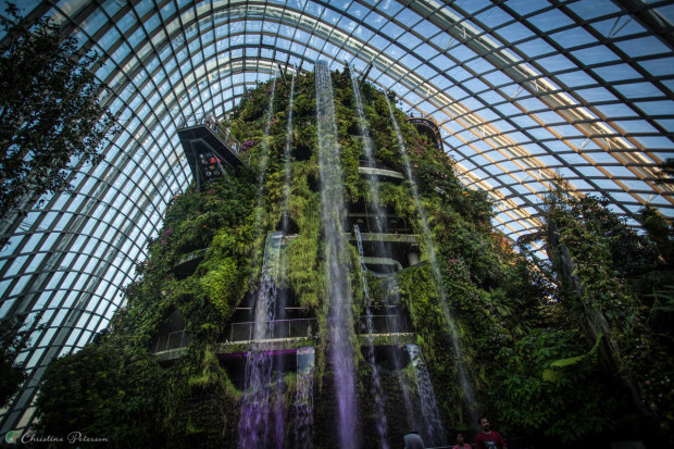 Instagram Singapore: Cloud Forest, Gardens by the Bay