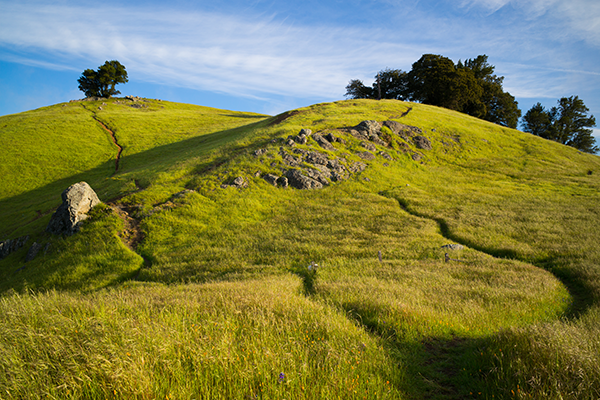 San Francisco Hiking Trails: Mount Tamalpais Park