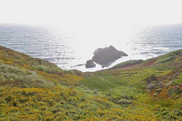 San Francisco Hiking Trails: Mussel Rock Park