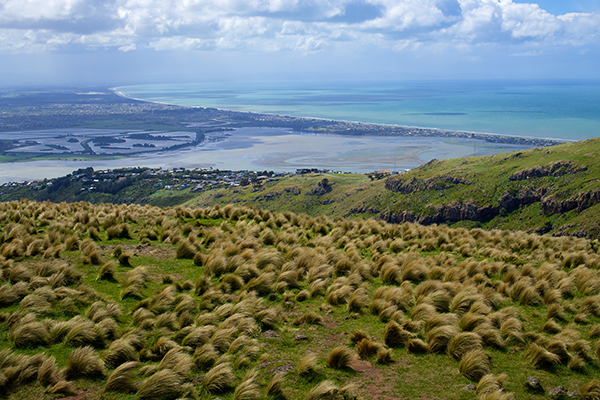 Best Places to Take Photos in Christchurch: Port Hills