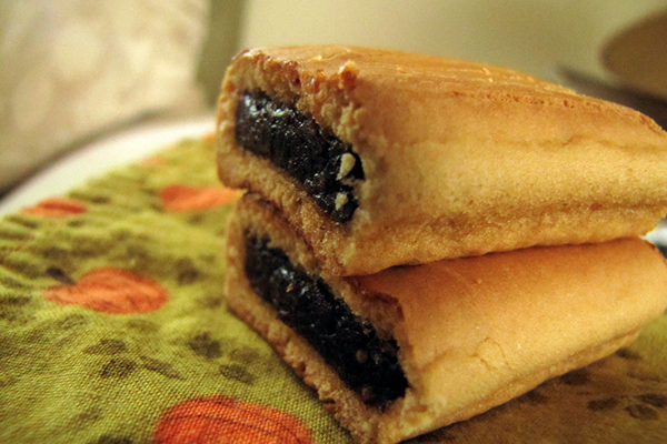 Boston Fun Facts: Fig Newtons named after the town Newton