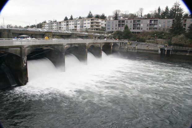 Seattle Sightseeing: Ballard Locks