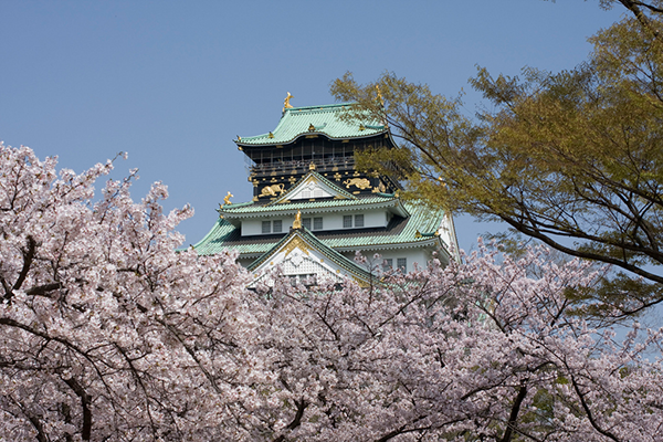 What To Know Visiting Osaka: Osaka Castle Cherry Blossoms