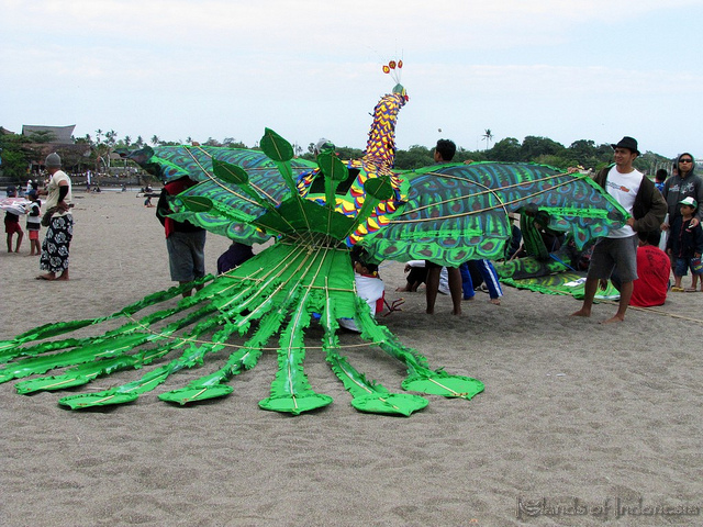 15 Things To Do in Bali: International Kite Festival in Sanur