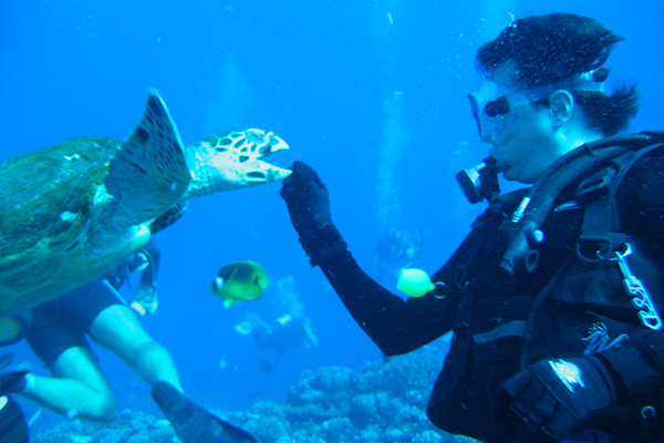 Photo Guide to Visiting Tahiti: Scuba Diving
