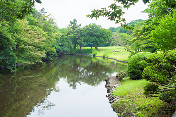 20 Reasons To Visit Tokyo: Meiji Shrine