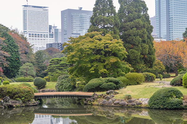 20 Reason to Visit Tokyo: Shinjuku Gyoen National Garden