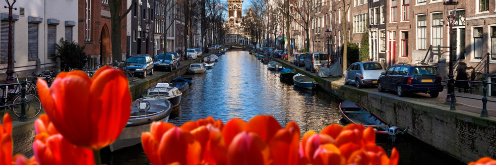 Amsterdam's Best Boat Tours