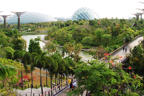 Free Places to Visit in Singapore: Gardens By The Bay