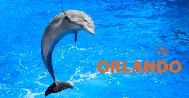 Top Water Parks in Orlando