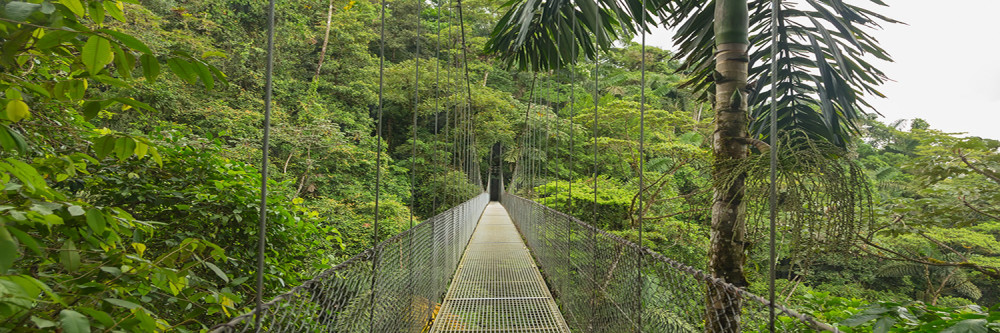 Suspended bridge at natural rainforest park, Costa Rica; Shutterstock ID 279305900; name: Chelsie Rohlen; Client: IHG; Publication: IHG Americas Destinations; Story ID: 76554