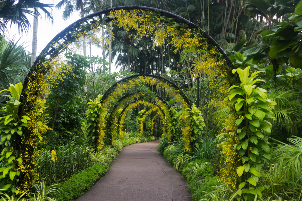 Singapore Place to Visit: Botanic Gardens