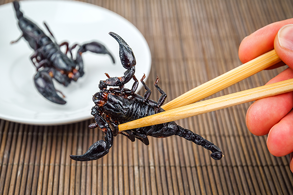 Kids Eat Bizarre Foods - Fried Scorpion