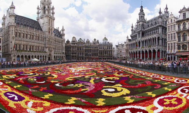 Brussels_floral_carpet_B (1)
