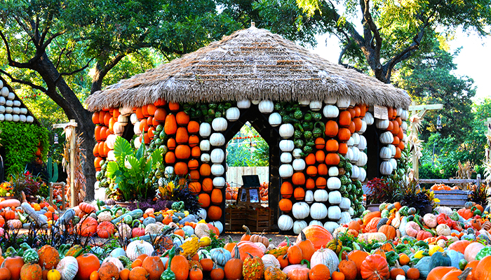Gazebo made of pumpkins at Dallas Arboretum