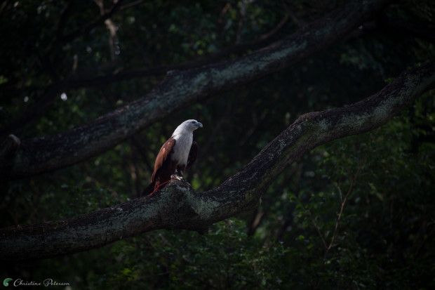 Instagram Singapore: Jurong Bird Park