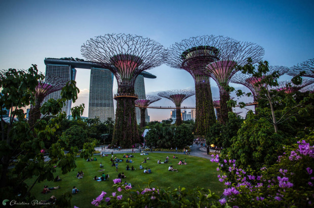 Instagram Singapore: Supertree Grove, Gardens by the Bay