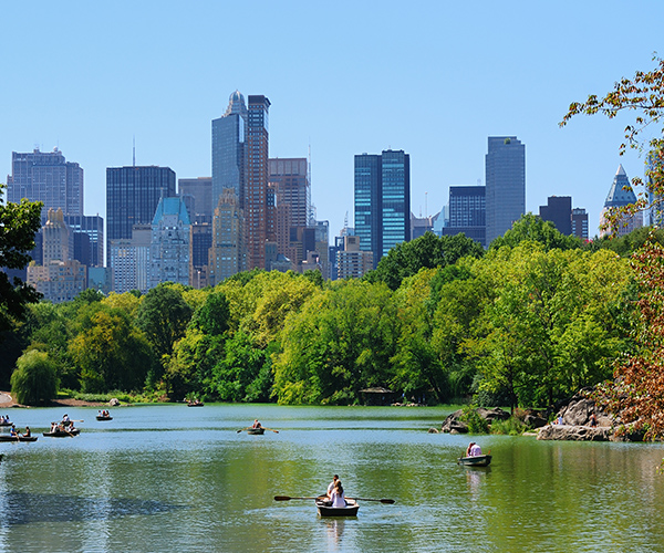 Things To See in Central Park: Skyline