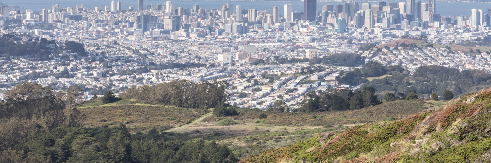 Best Hiking Trails in San Francisco