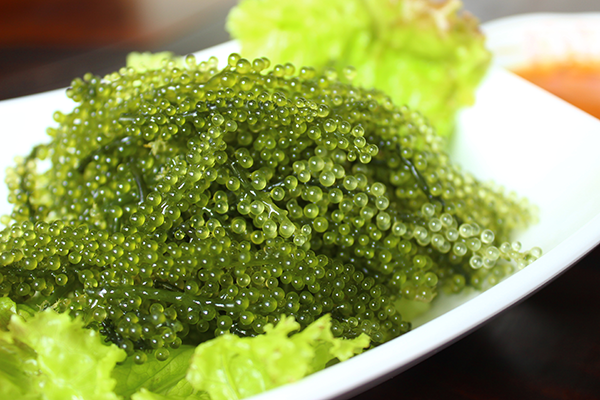 What to Eat in Okinawa: Umi Budo