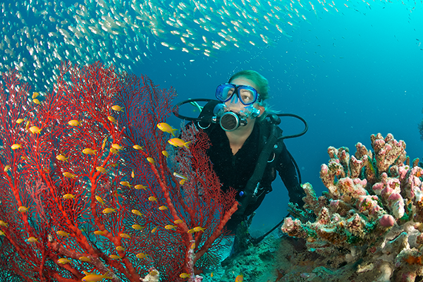 Maldives Outdoor Fun: Diving