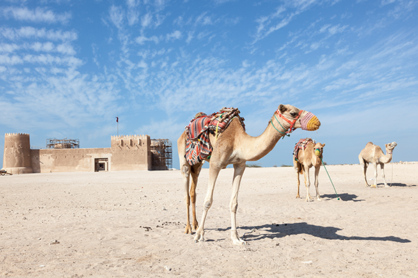 Day Trips from Doha: Al Zubara Fort