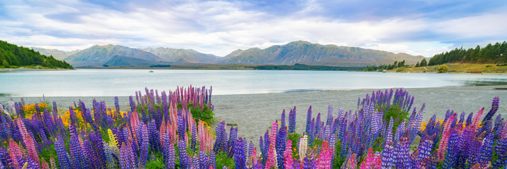 South Island Places to See, New Zealand