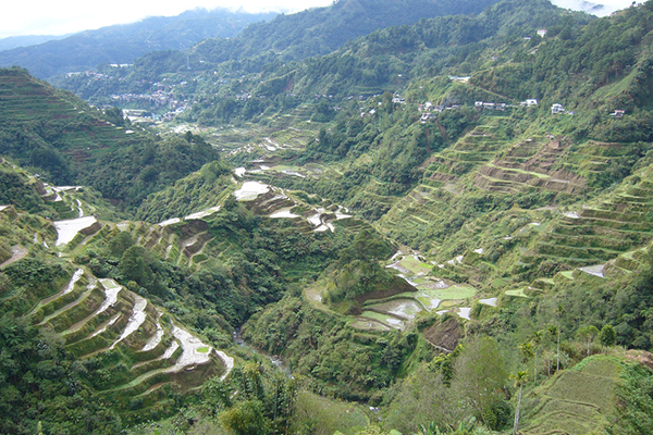 Baguio City Outdoor Hiking: Banaue Rice Terraces