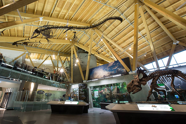Unique Spots in Canada: Currie Dinosaur Museum