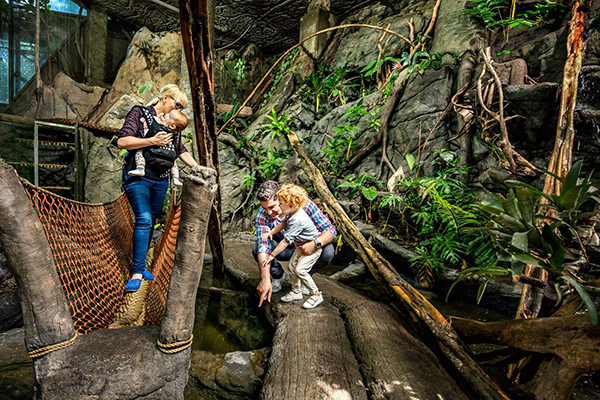 Eco-Friendly Family Vacation: Universeum