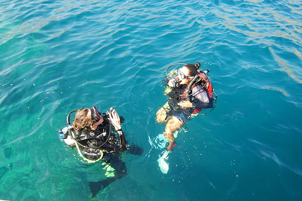 Popular Diving Centers in UAE: 7 Sea Divers