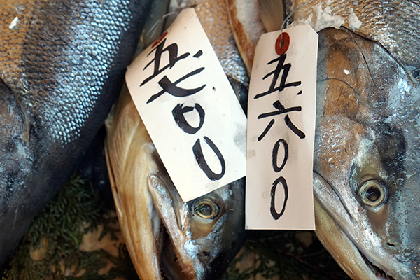 Best Tokyo Street Food: Fish Markets