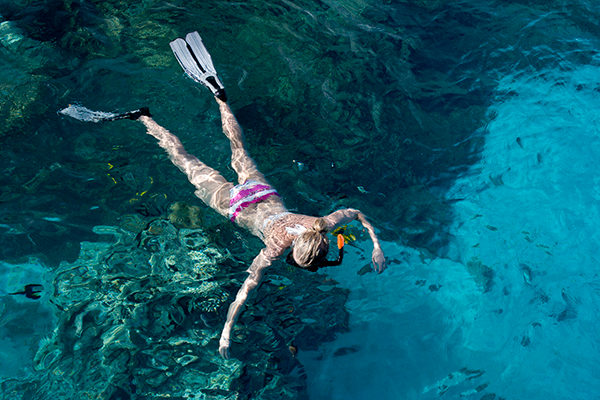 Snorkeling, Coral Gardens in Bora Bora