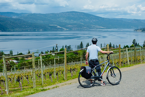 Bicycle along the Okanagan Valley Wine Route