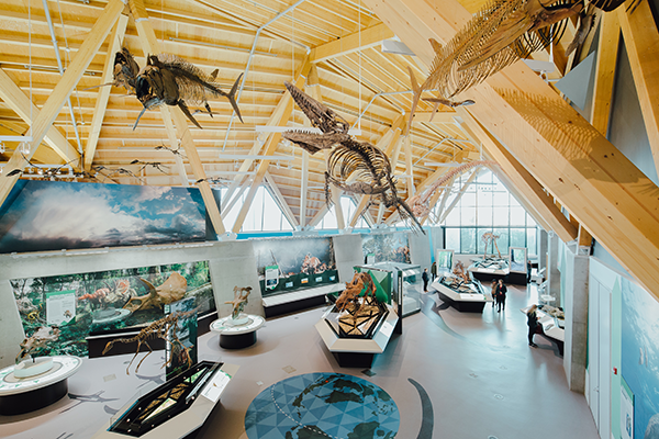 Phillip J. Currie Dinosaur Museum