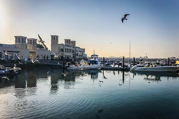 Best Places to Take Photos in Dubai: Jumeirah Fishing Harbour
