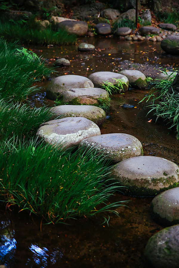 Best Places to Take Photos in Tokyo: Koishikawa Korakuen Garden