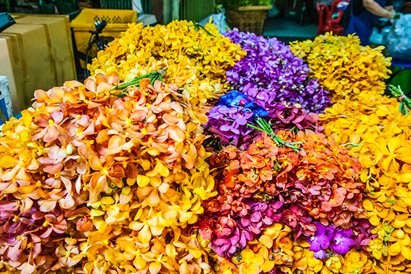 Best Places to Take Photos in Bangkok: Pak Klong Talad Flower Market