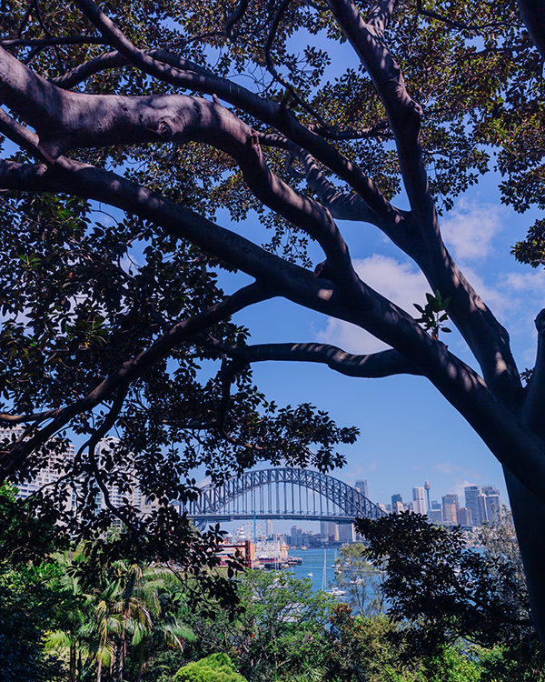 Best Places to Take Photos in Sydney: Wendy's Secret Garden